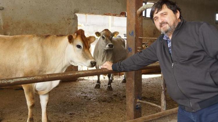 Hacıince: Et fiyatında istikrar için yerli üretime destek zorunludur