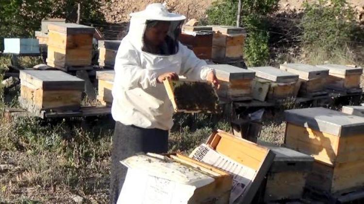 Artvinli kadın arıcı, bal üretim sezonunu açtı