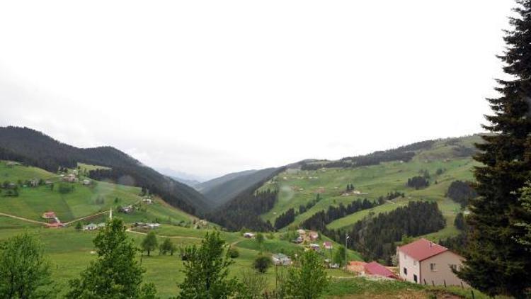 PKKlı teröristler yayla evlerinden erzak çaldı