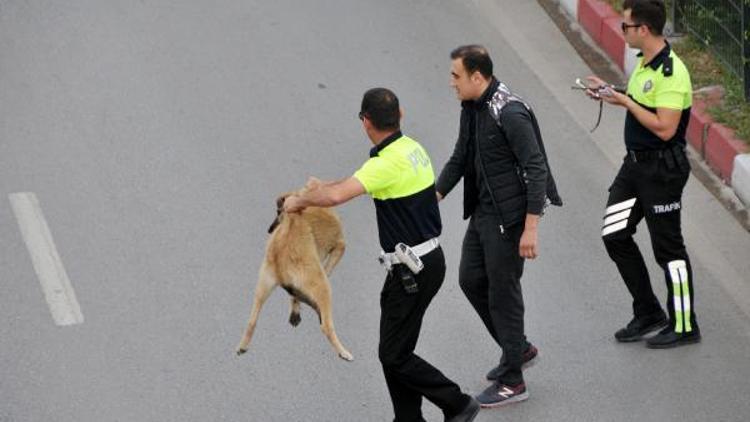 Trafik polisinden örnek davranış