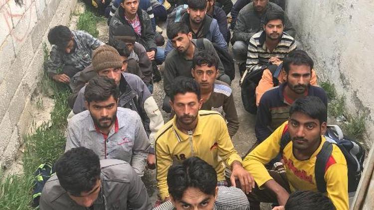 Vanda 408 kaçak göçmen yakalandı