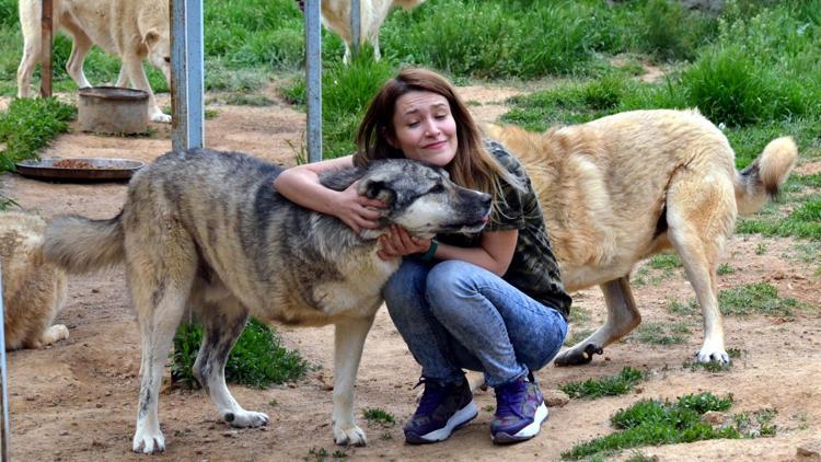 Öğretmen, sokak hayvanları için yollarda