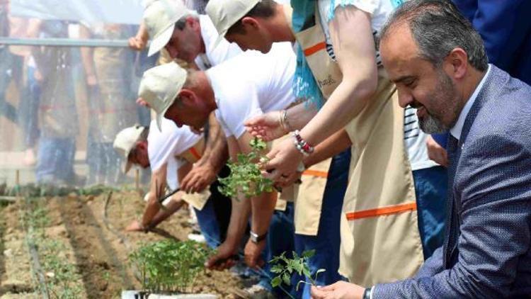 Başkan Aktaş engellilerle birlikte domates fidesi dikti