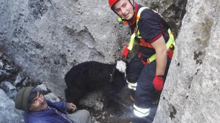 Kayalıkların arasında mahsur kalan oğlağı itfaiye kurtardı