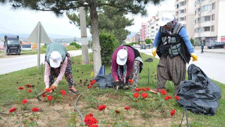 Bozüyükte yeşil alanlarda bakım çalışmaları hızlandı