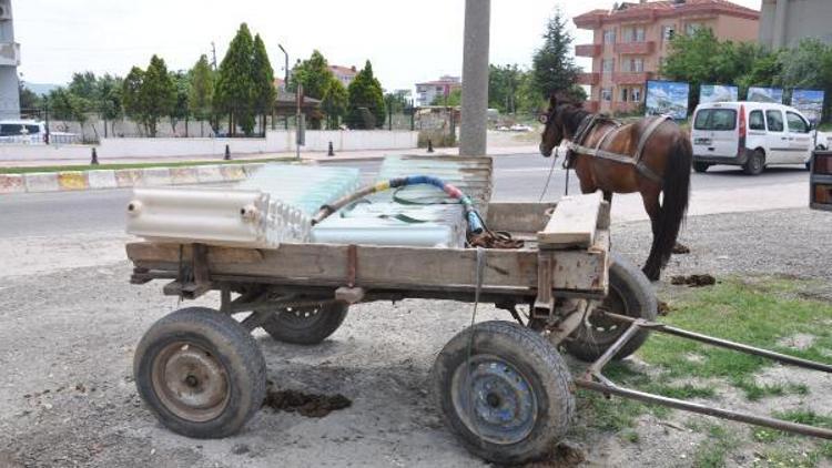 Çaldıkları at arabasıyla, kalorifer peteği çalmak istediler