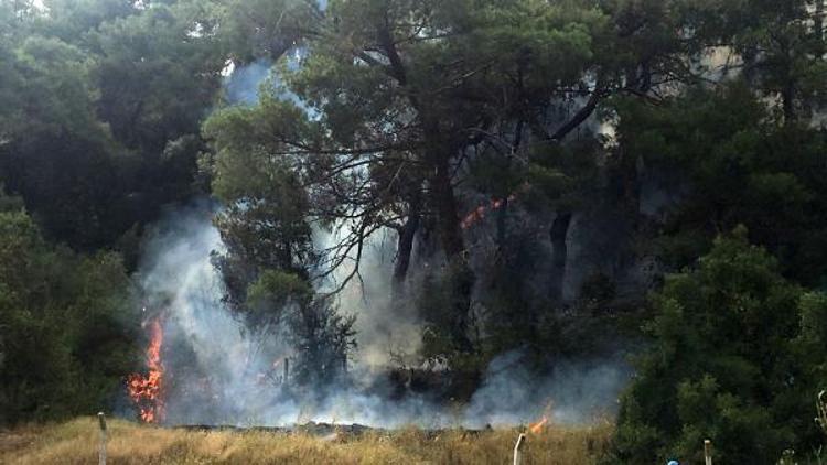 Antalyada orman yangını (1)