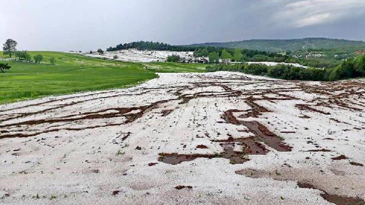 Kastamonu Taşköprüde dolu yağışı sarımsak tarlalarına zarar verdi