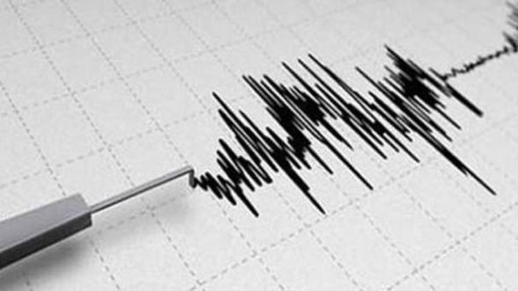 Bitlisde korkutan deprem
