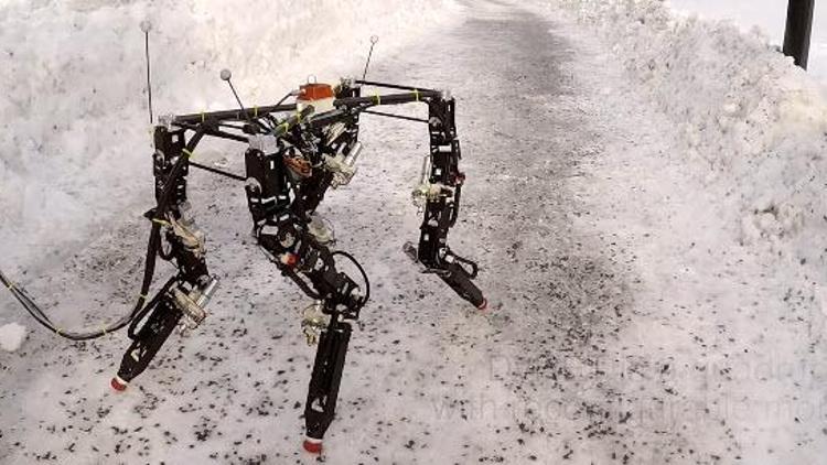 Bu robot kendi kendine yürümeyi öğreniyor