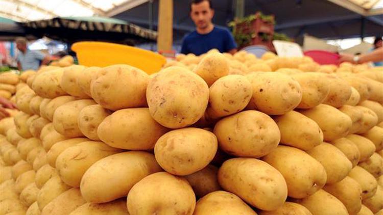 Yerli patates Nahita yurt dışına açılıyor