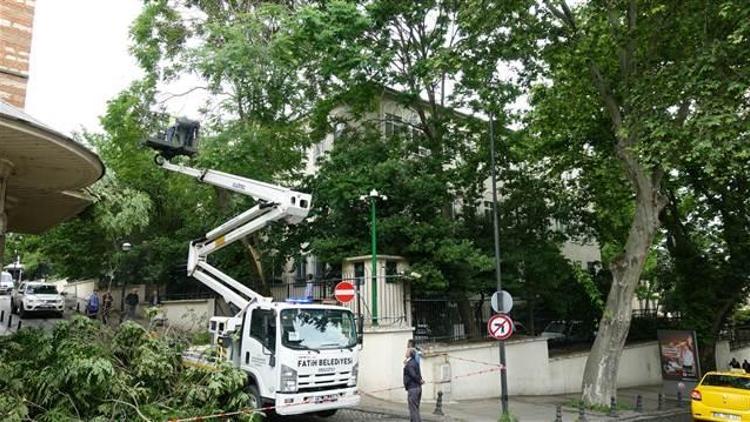 İstanbul Valiliğinin bahçesindeki ağaç devrildi