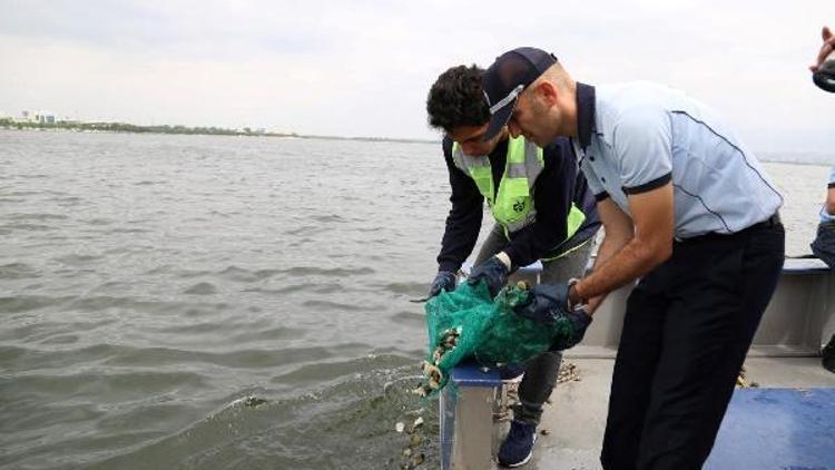 Kaçak toplanan 100 kilo midye denize bırakıldı