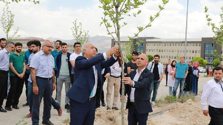 Niğdede Afrin şehitleri anısına çınar ağacı dikildi