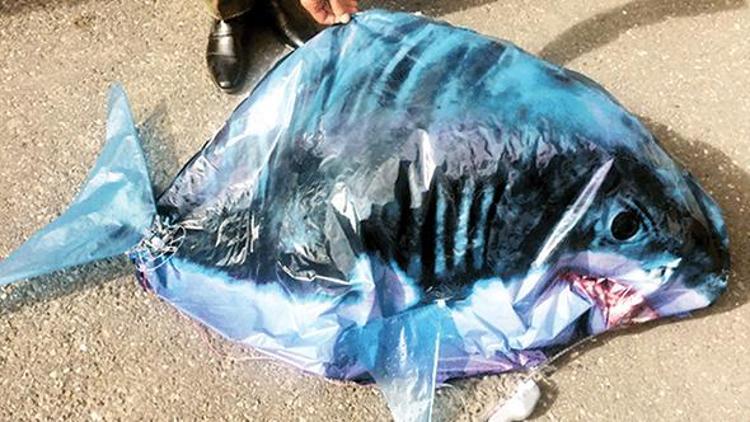 Ermenistan’da ‘Türk köpekbalığı’ krizi