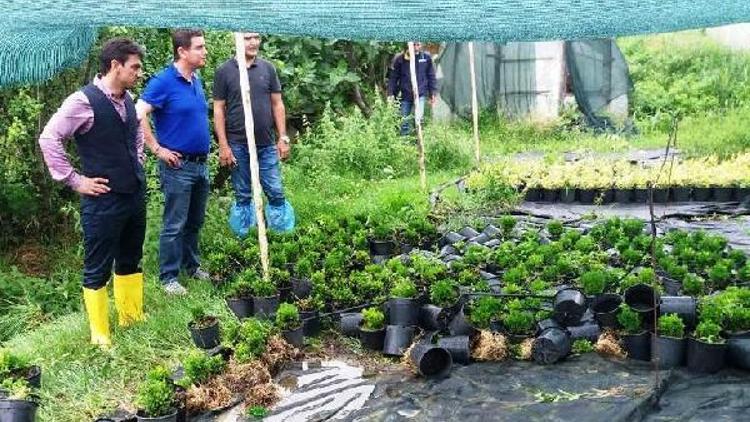 Yalovada, sağanak mağduru üreticilere ziyaret