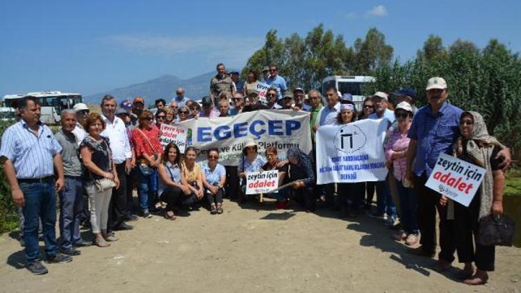 Aydında çevreciler toplu balık ölümleri nedeniyle eylem yaptı