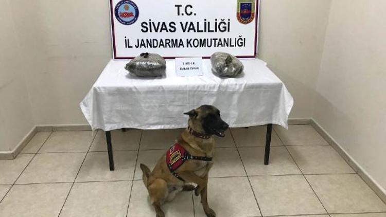 Yolcunun valizinden 3 kilo 465 gram esrar çıktı