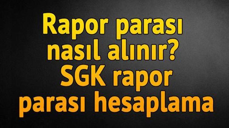 Rapor parası nasıl alınır E-Devlet rapor sorgulama sayfası