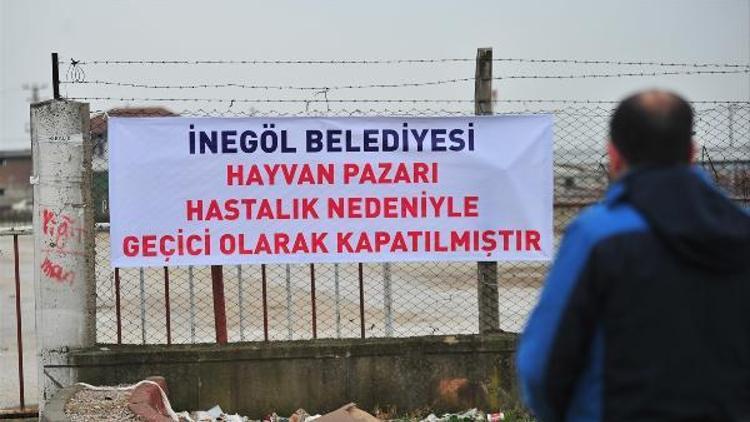 İnegöl hayvan pazarı, şap salgını nedeniyle kapatıldı