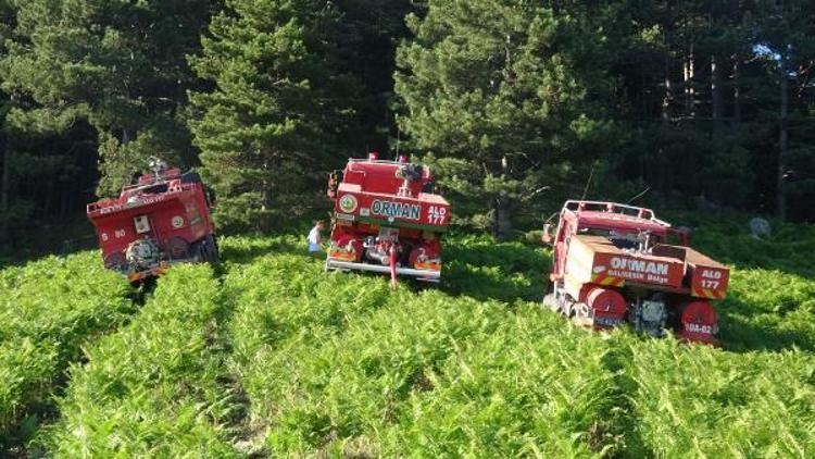 Kazdağlarındaki yangında erken müdahale ağaçları kurtardı