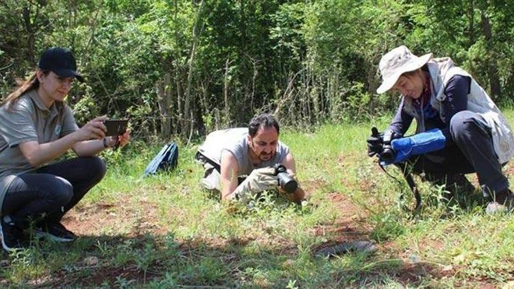 Ne olduğunu anlamadılar İnceleyince gerçek ortaya çıktı