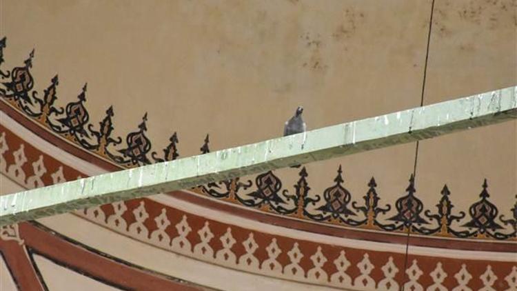Edirne’de tarihi camilerdeki ’kuş konmazlar’ kaldırıldı