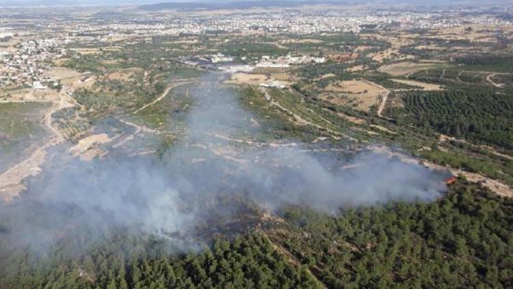 İzmir mendereste orman yangını çıktı