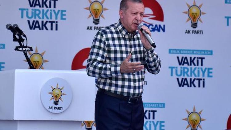 Cumhurbaşkanı Erdoğan: 16 yıldır kimseyi ötekileştirmeden çalışıyoruz (2)