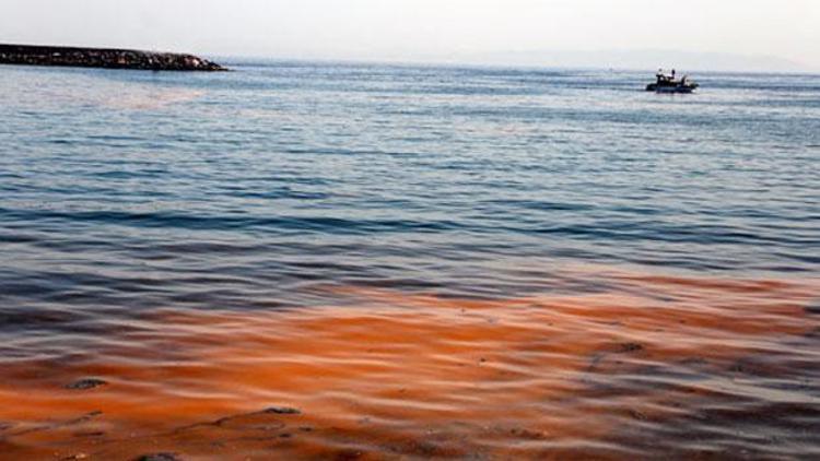 Marmara Denizi ölüyor