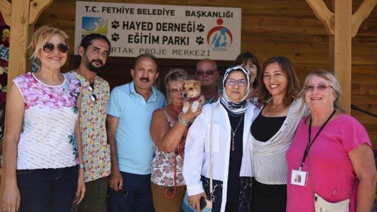 Sokak hayvanları için eğitim parkı