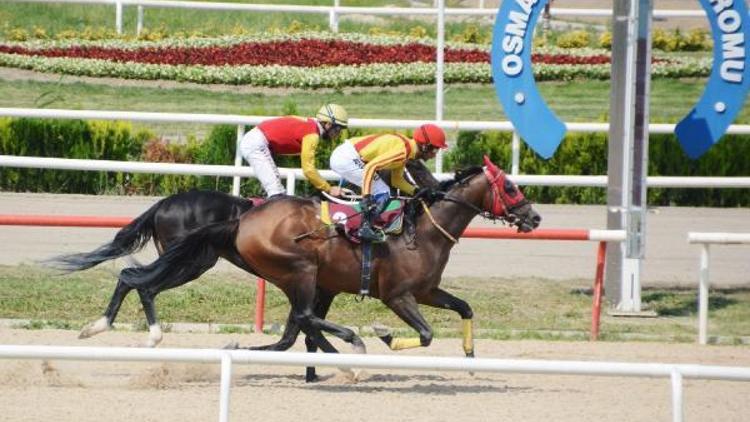 TSYD Bursa Koşusu’nda zafer Angel Horse’un