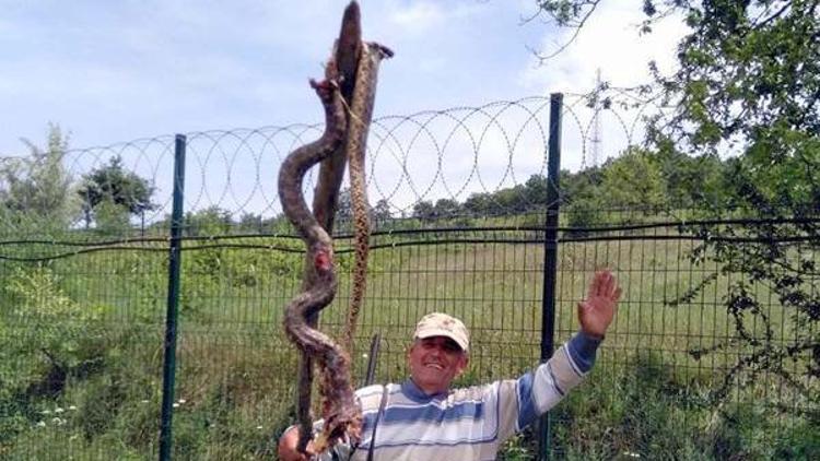 Efsane 5 metrelik yılanı vurduğunu iddia etti