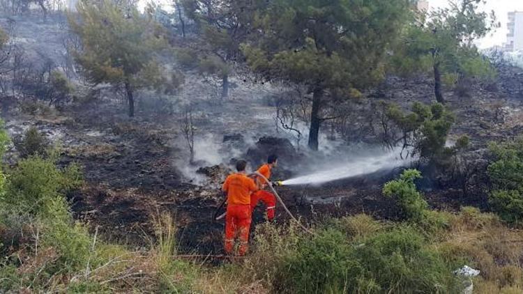 Manavgatta orman yangını