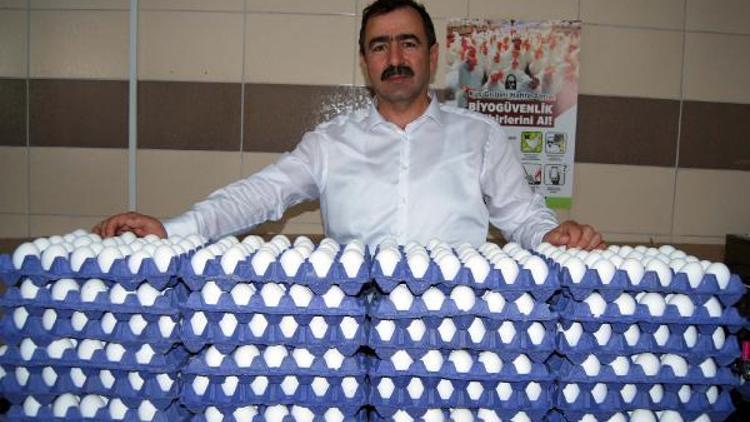 Yumurta ihracatında yeni pazar Afrika