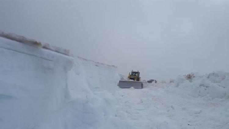 Doğu Karadenizde haziranda 4 metrelik karla mücadele