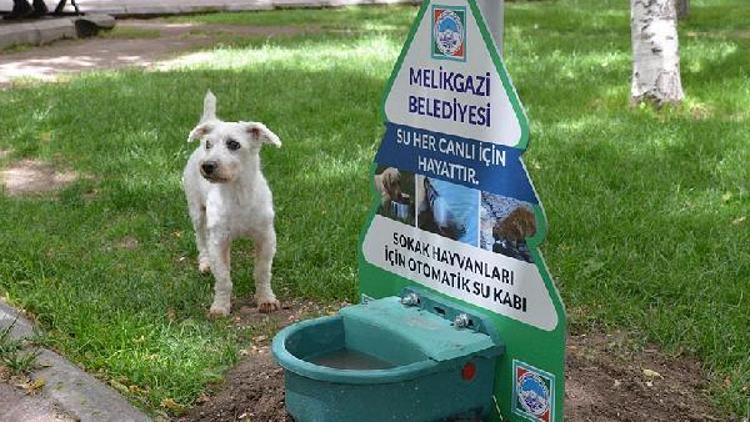 Sokak hayvanları için parklara özel otomatik su kabı