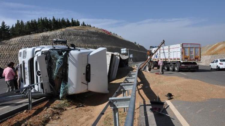 TIR devrildi, 25 ton buğday yola saçıldı