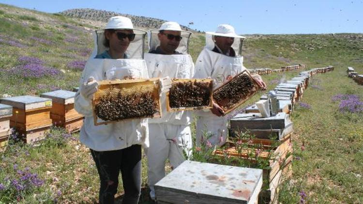 Mersinli üretici bu yıl baldan umutlu