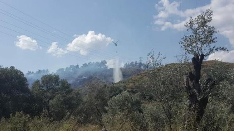 Muğlada yerleşim yeri yakınında orman yangını/ Ek fotoğraflar