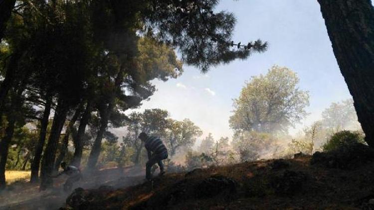 Ormanlık alanda çıkan yangın, büyümeden söndürüldü