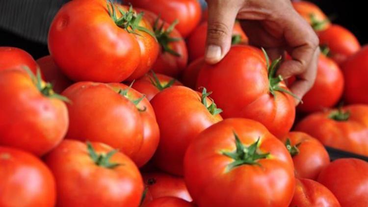 Türkiye domatesine lojistik destek yatırımı