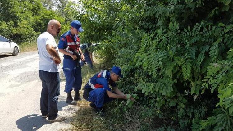 Sapancada vahşetin failinin bulunması için seferberlik