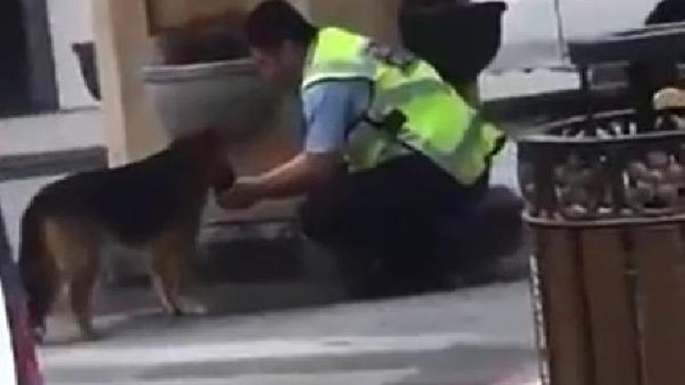 Polis, avucuyla köpeğe su içirdi