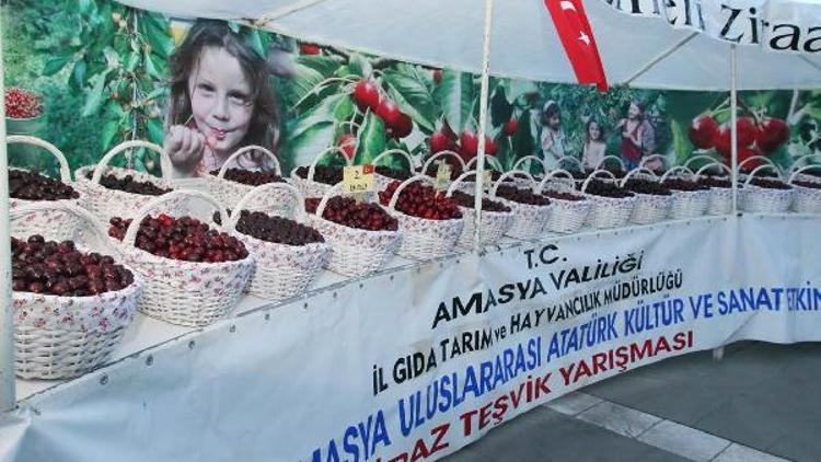 Türkiye’de kirazın yüzde 7’sini Amasya karşılıyor