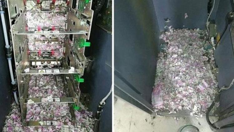 İnanılmaz olay ATMye giren fareler yaklaşık 9 milyon TLyi yedi