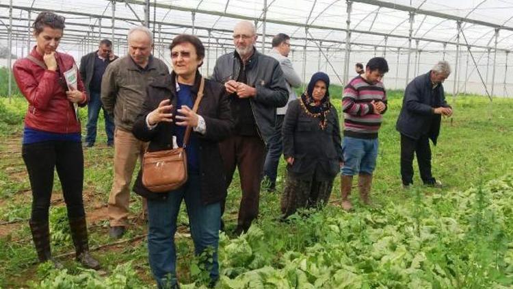 Alaşehirde çiftçiler için açılan kurslar tamamlandı