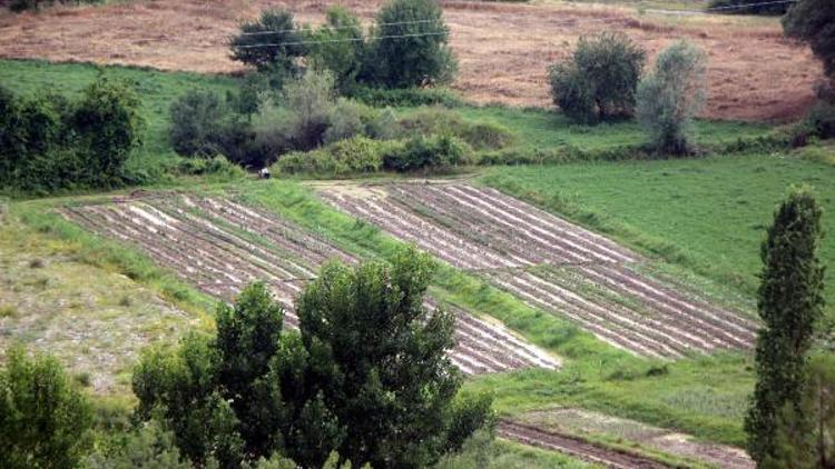 Boluda sağanak ve dolu tarım arazilerine zarar verdi