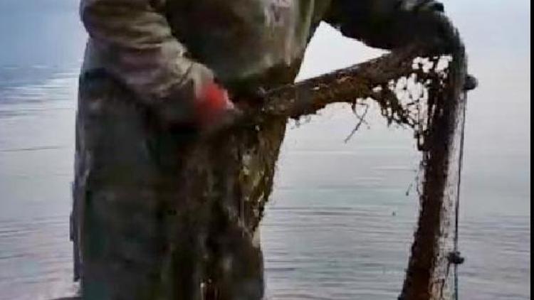 Bafa Gölünde alg çoğalması