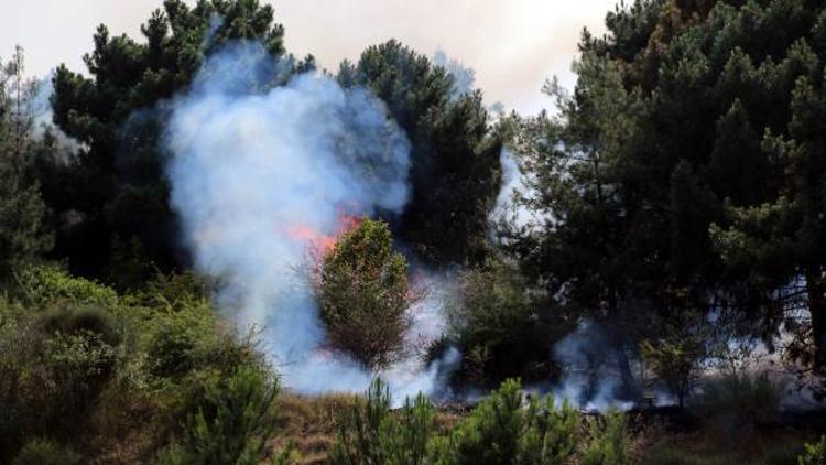 Tarihi Amisos Tepesinde çıkan yangın korkuttu